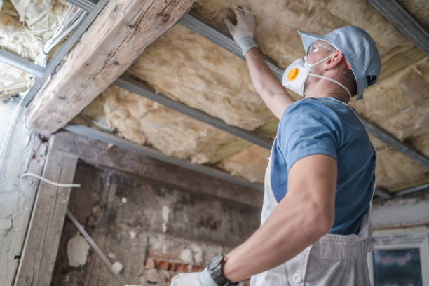 Insulation Repair Services