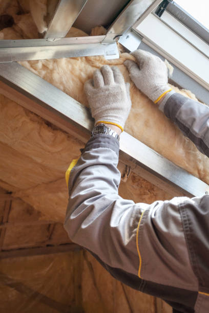 Best Insulation for New Construction  in Shingletown, CA