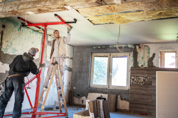 Best Insulation Removal  in Shingletown, CA