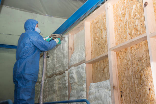 Best Local Insulation Services  in Shingletown, CA